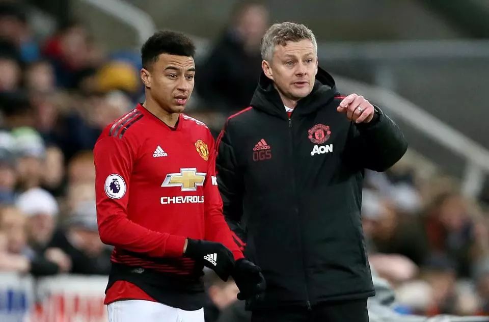 发现与培养 发现与培养