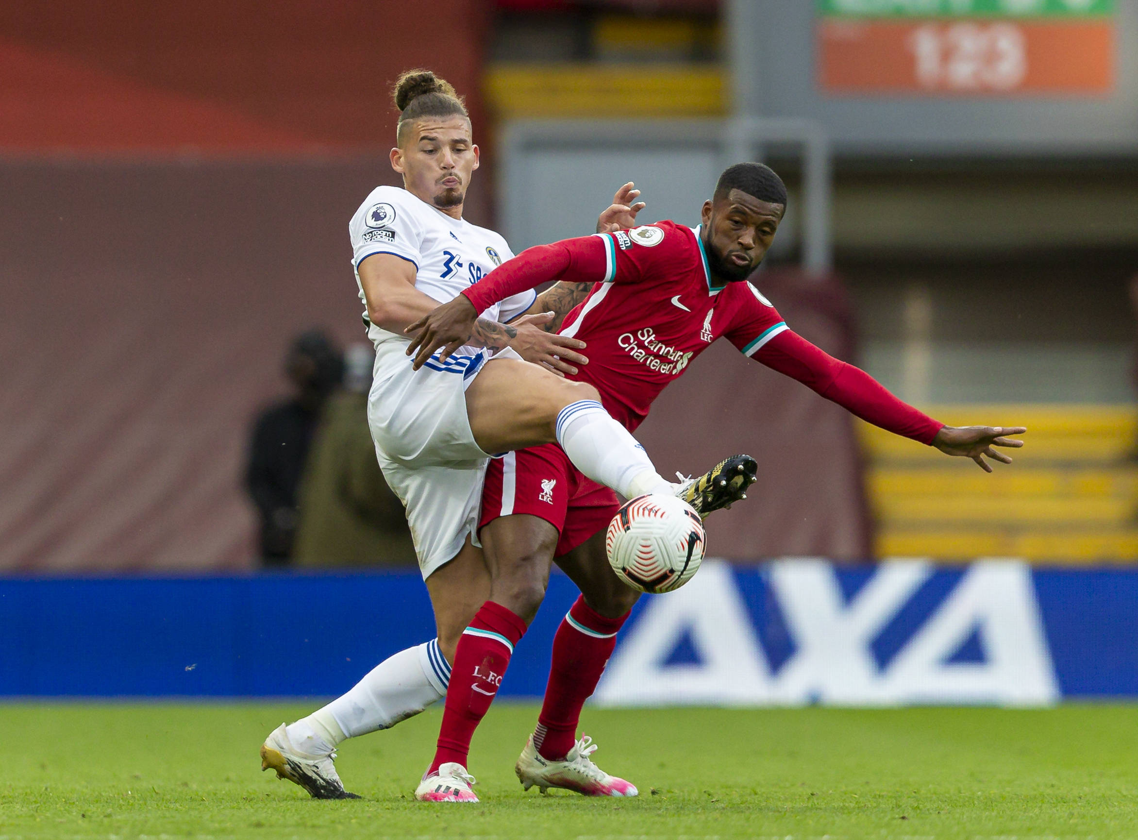 都掀起了不 都掀起了不