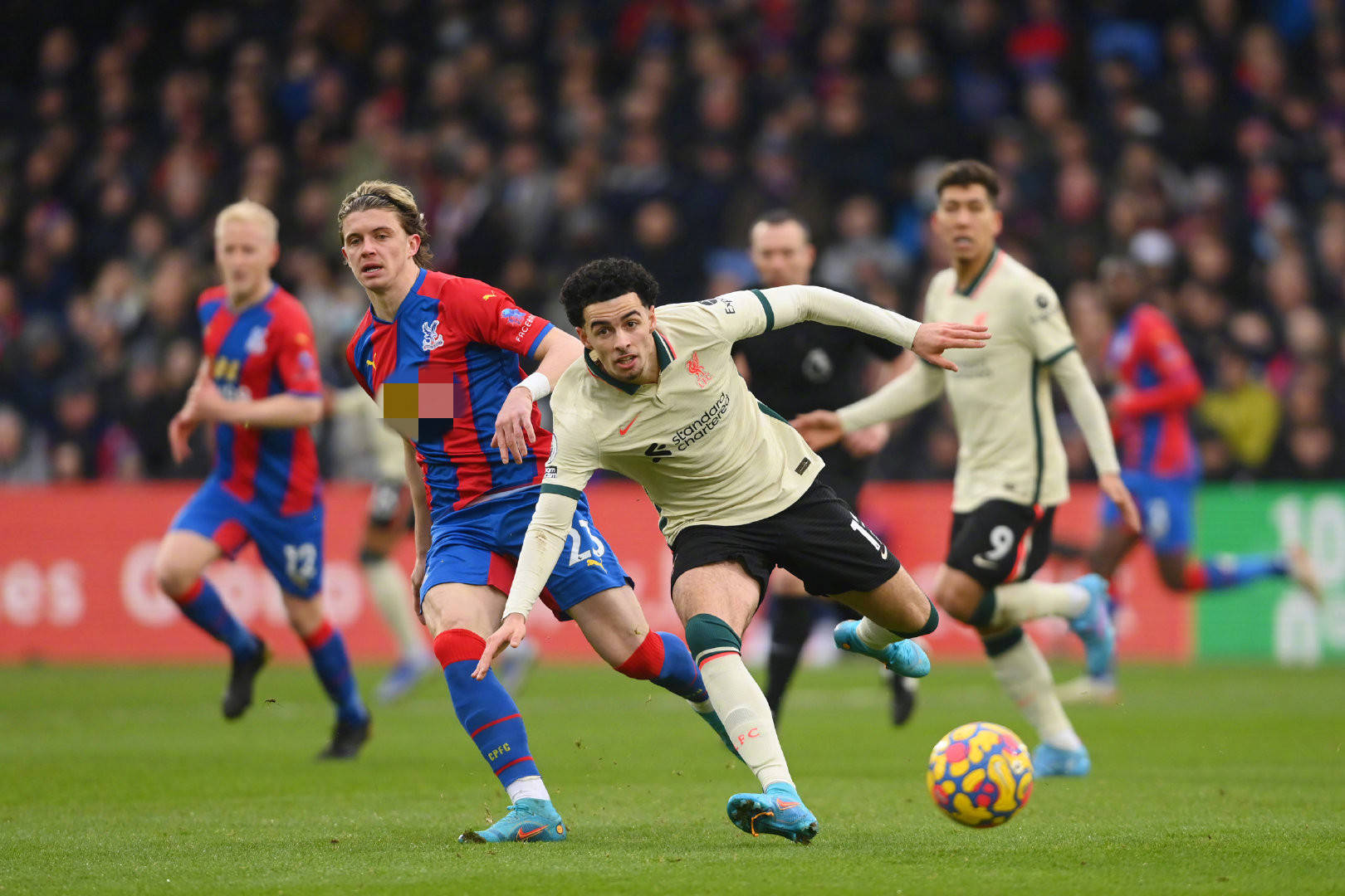 如果属实 如果属实